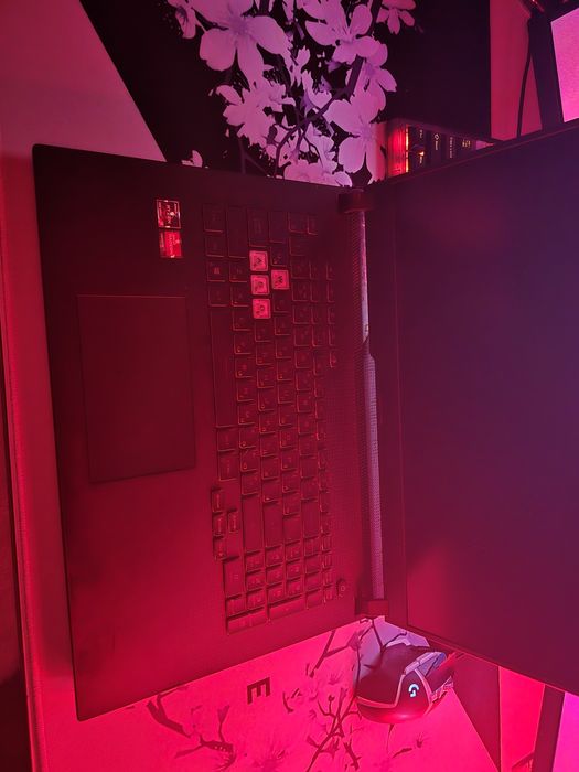 Игровой ноутбук  Asus rog strix