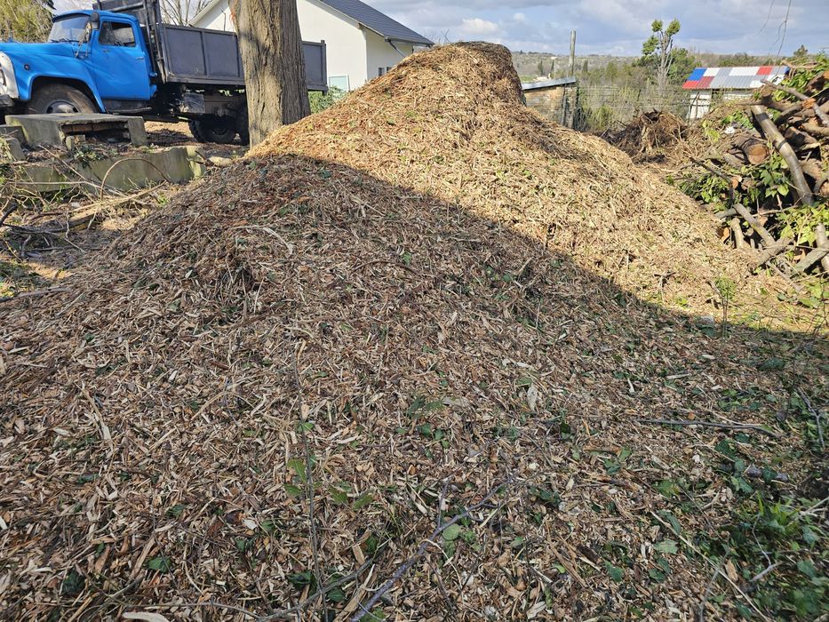 Почистване на парцели и дворове до чиста пръст