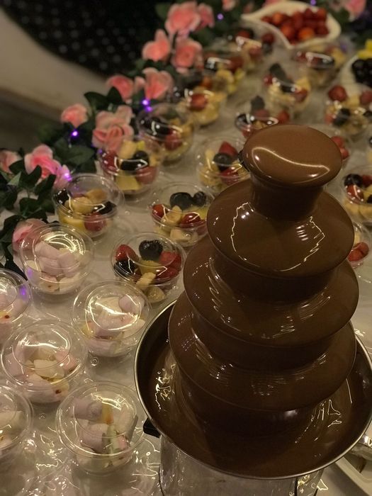 Шоколадный фонтан.корпоративные вечеринки,новогодний утренник Мини фур