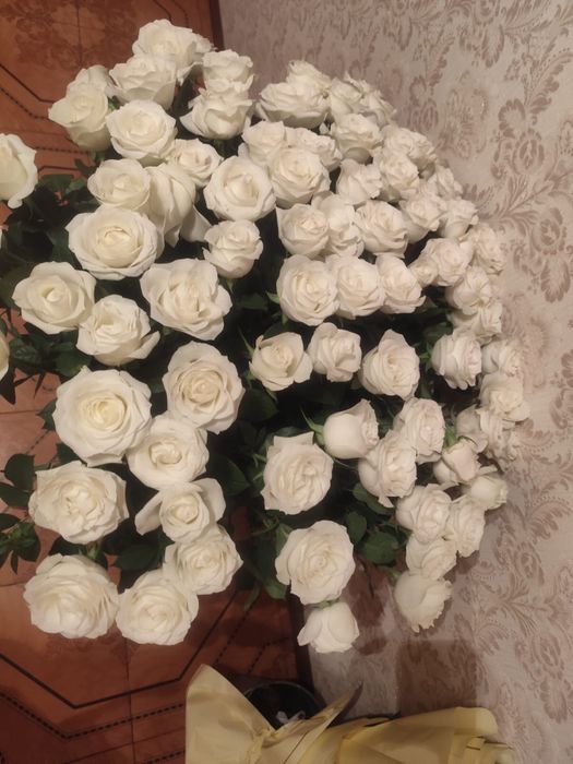 101шт белые розы