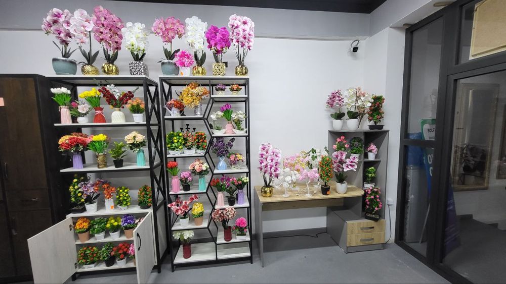 Porno qin ichida meva