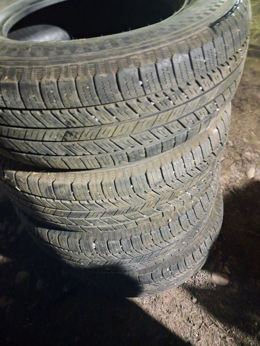 Резина всясезонка