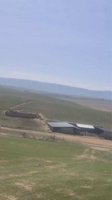 Продам фазенду 100 гектара