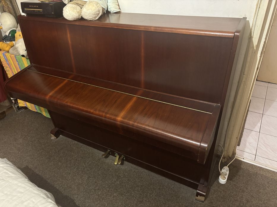 Pianina doina an 1982
