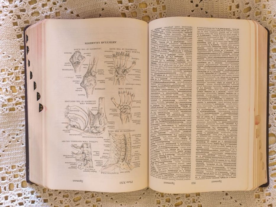 Dorland's Illustrated medical dictionary
