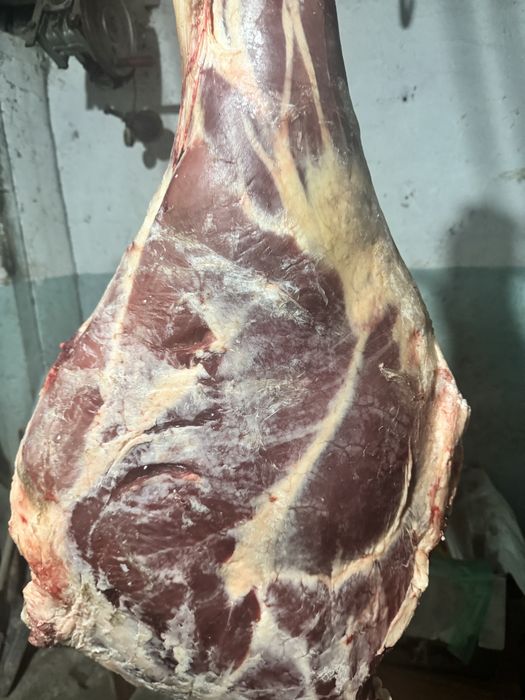 Продам мясо молодняк