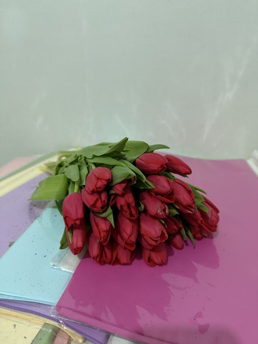 продам тюльпаны 850тг