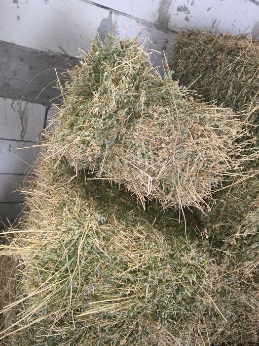 De vânzare baloți lucerna și paie