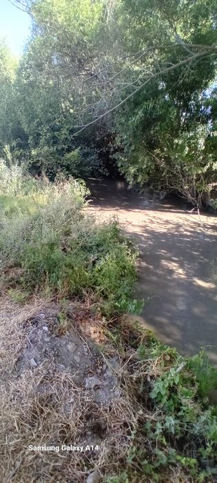 Uy joy sotiladi hovli