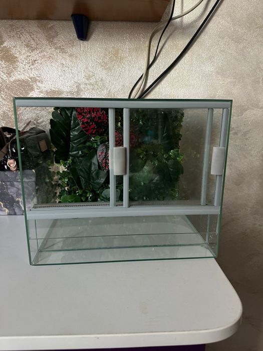 Terariu reptile