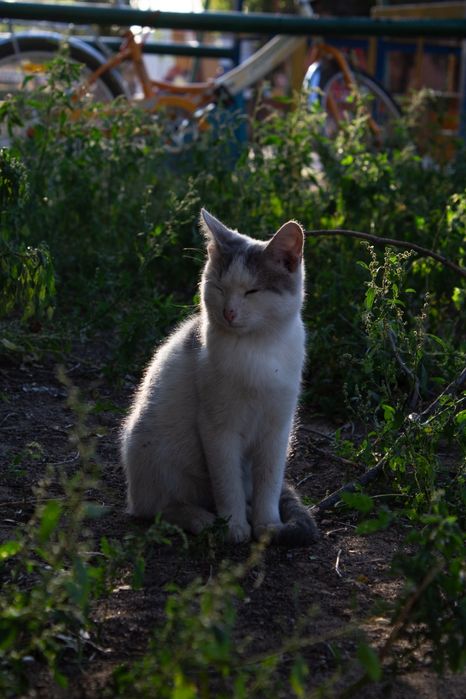 Canon eos 60D в идеальном состоянии