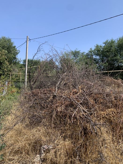 Одам даром дрова