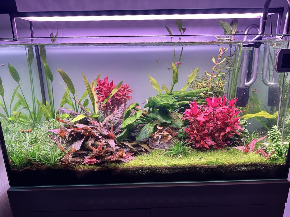Аквариум на 180 литров