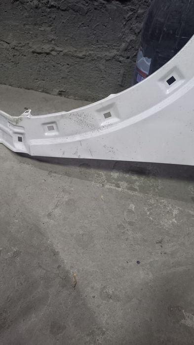 Kia seltos krilo rodnoy