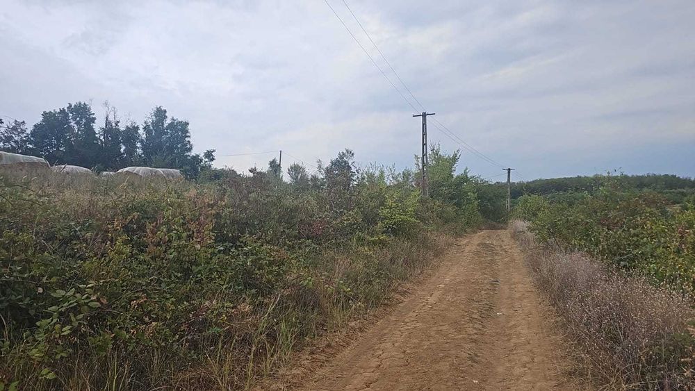 De vanzare doua terenuri zona Urlati-Valea Calugareasca Prahova