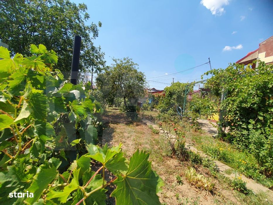 Voluntari – Teren Intravilan 861 mp | Deschidere 20m | Dragonul Roșu