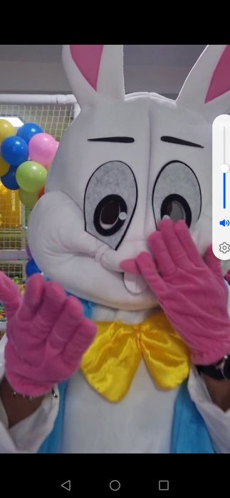 Mascota iepuraș alb