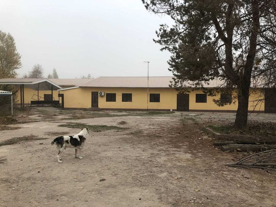 Коммерческое помещение в аренду