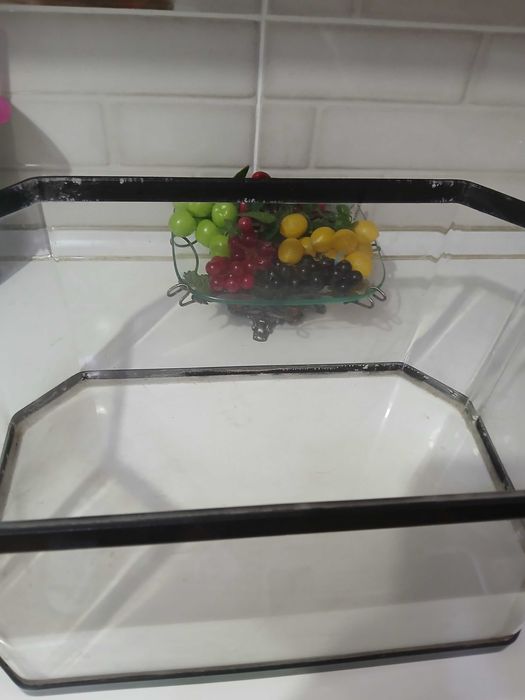 Аквариум для улиток