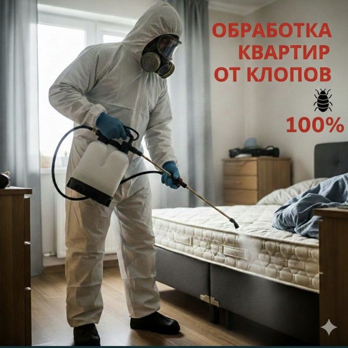 Дезинфекция жасаймыз