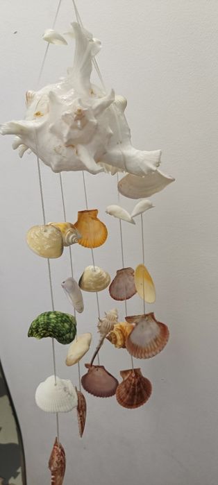 "Carusel" de scoici naturale  super frumoase