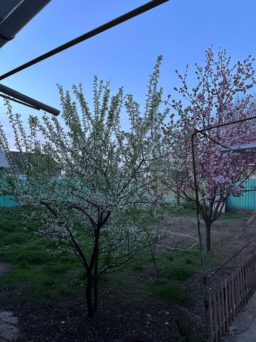Үй.        сатылады