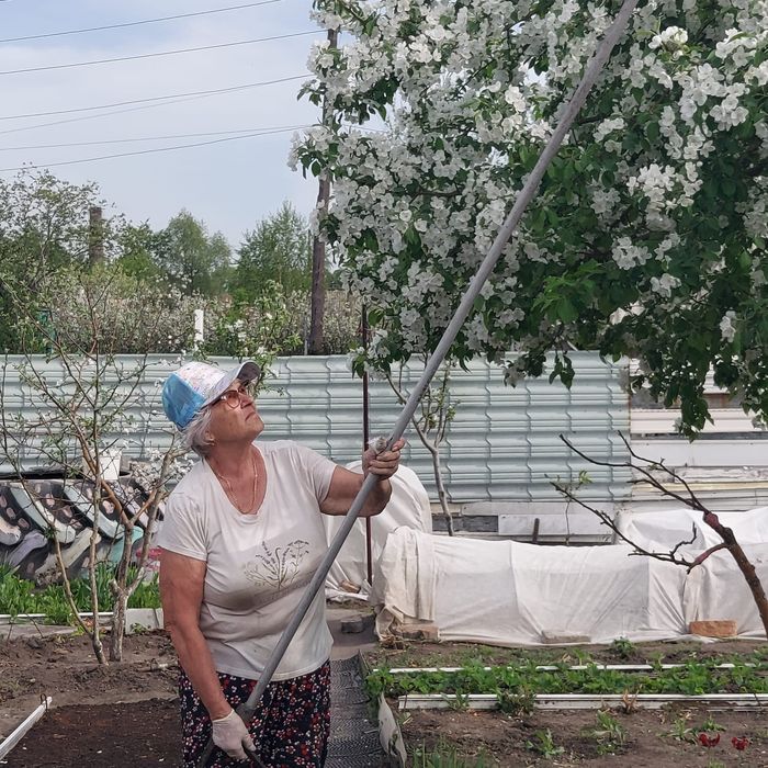Продам секатор-высоторез