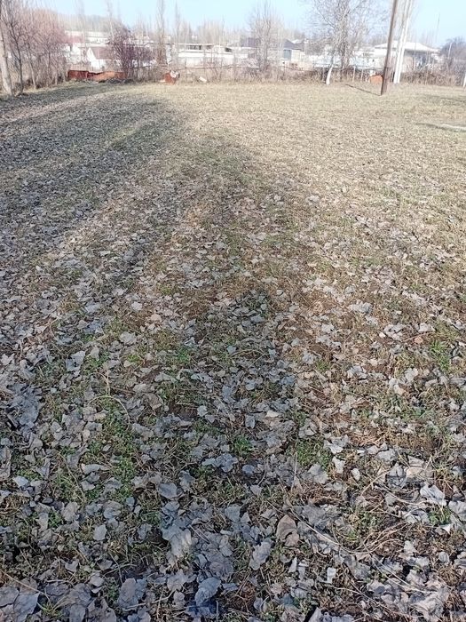 Яхши жойда текст жойда