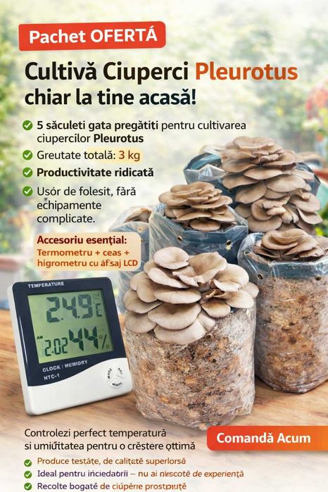 Pachet OFERTĂ – Cultivă Ciuperci Pleurotus chiar la tine acasă!