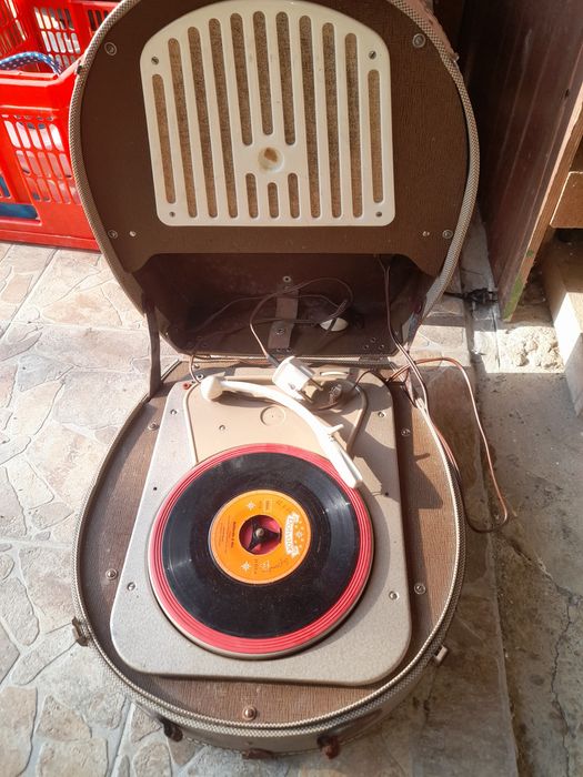 Pikapuri import Germania