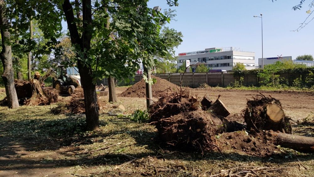 Taieri doborari si toaletari arbori copaci pomi orice dificultate