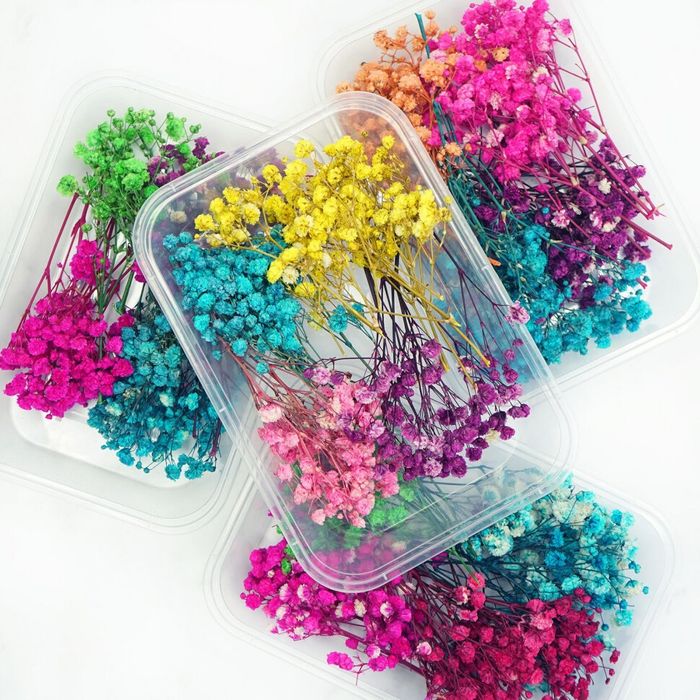 Сухоцветы / Гипсофилы букет