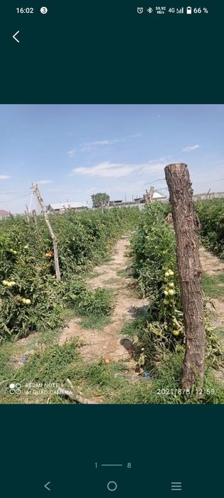 Фазенда в аренду