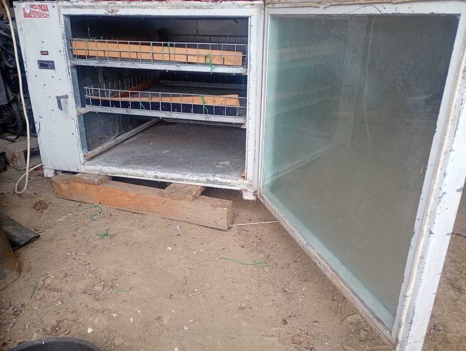 De vanzare incubator +ecluzor