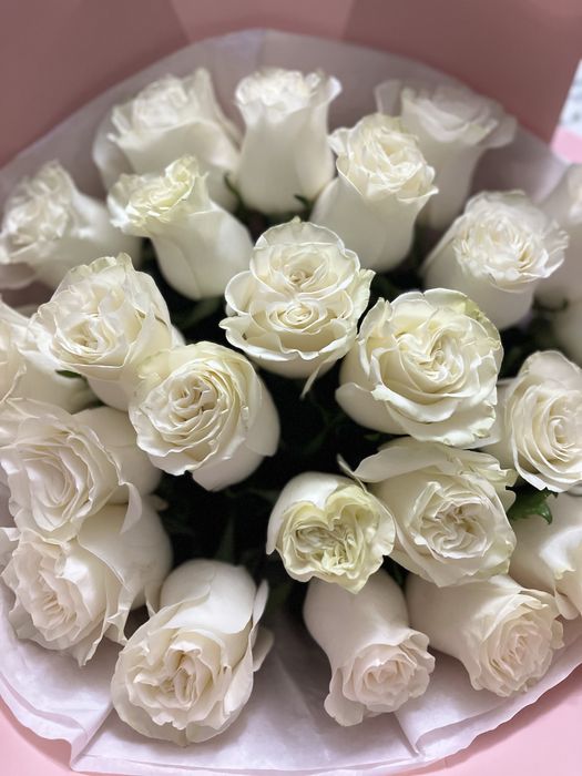 25шт белый роза  свежий