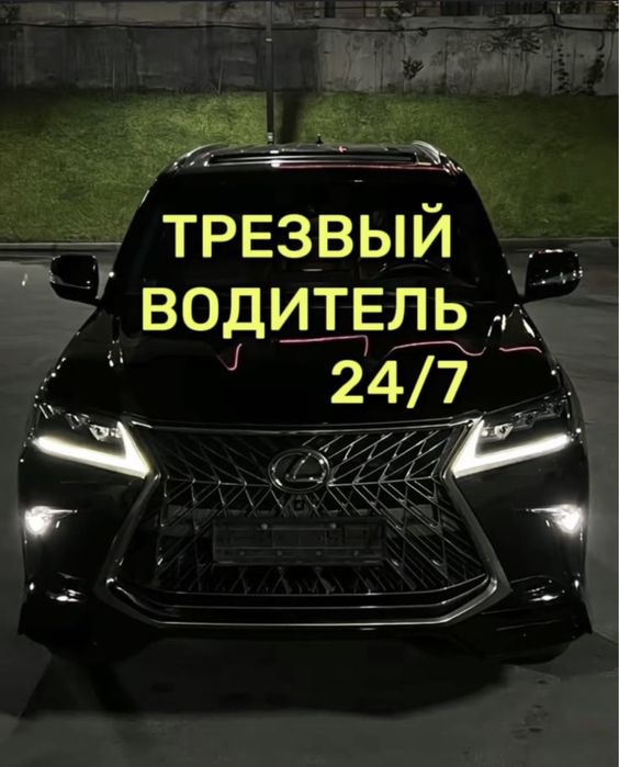 Трезвый водитель