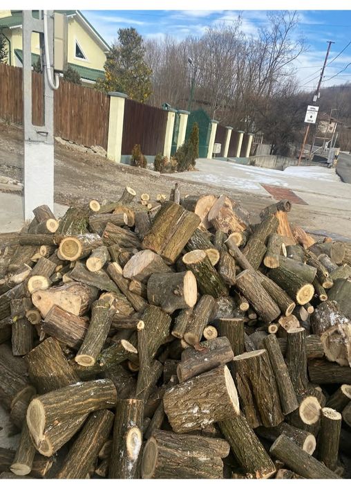 Lemne de foc esență tare