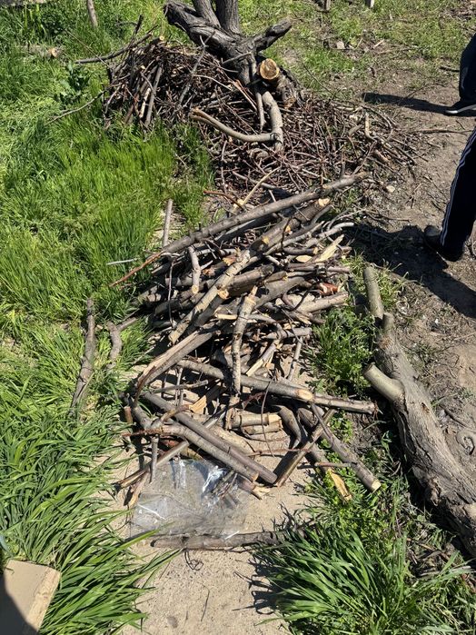 Отынға ағаштар, бұталған дайын