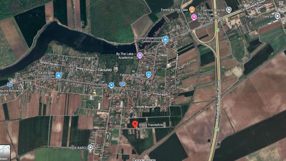 Teren 1500 mp Caciulati Moara Vlasiei, cu utilități