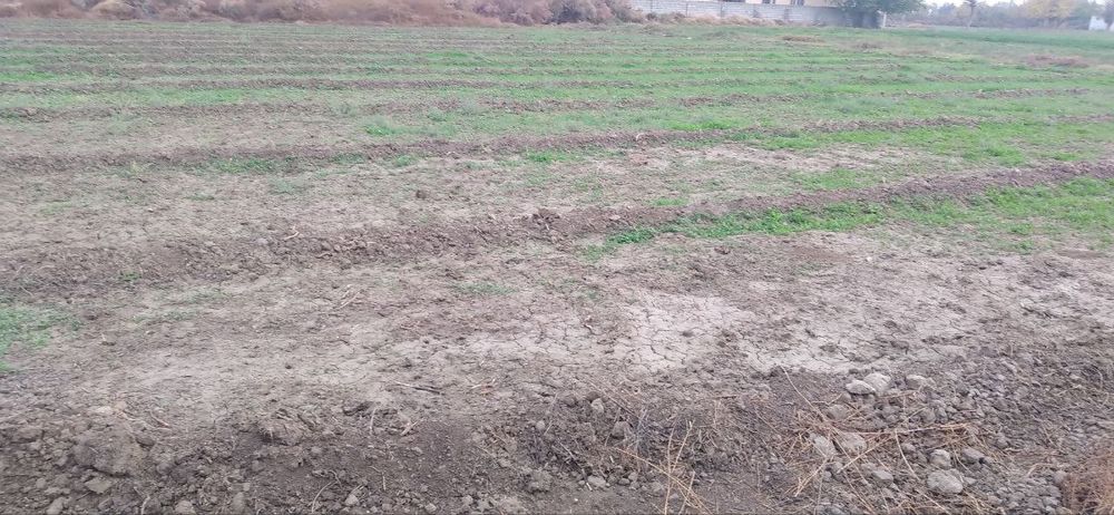 Yer sotiladi 18 sotix muljal Qumqoʻrgʻon neftibaza