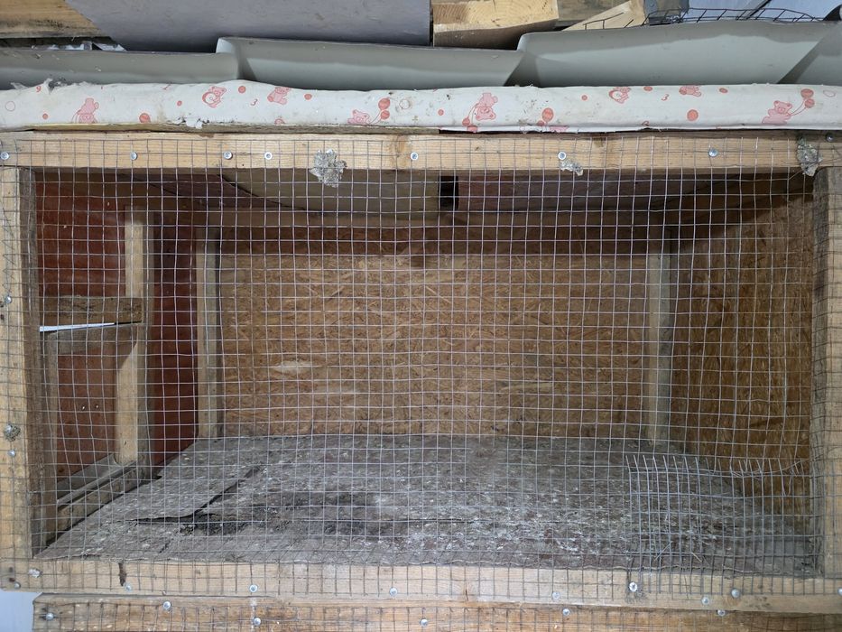 Осы клеткалар сатылады