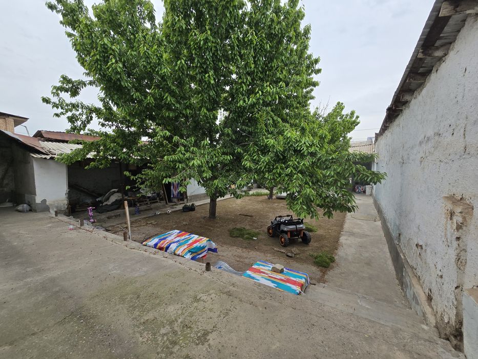 Срочно Сотувда Ховли