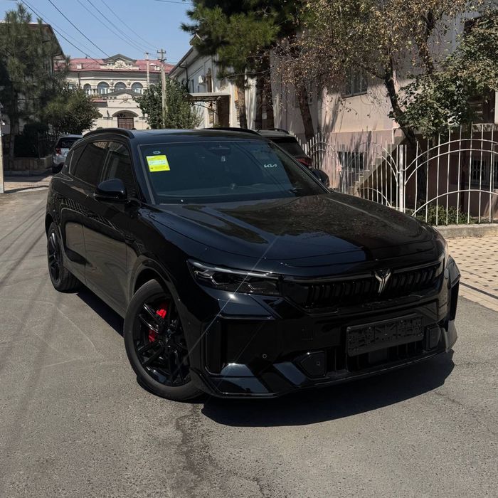 Voyah Free 318/25) ND-40