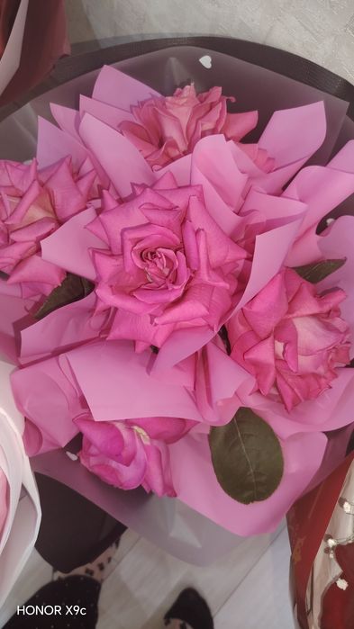 Продам цветы.  Красивые