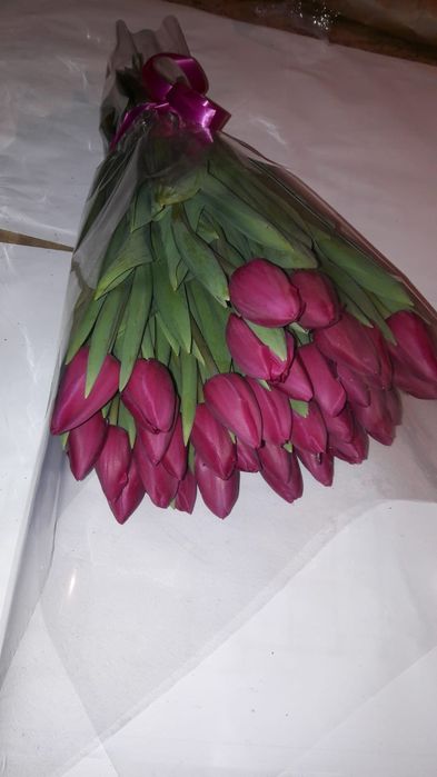 Продаем тюльпаны оптом и в розницу