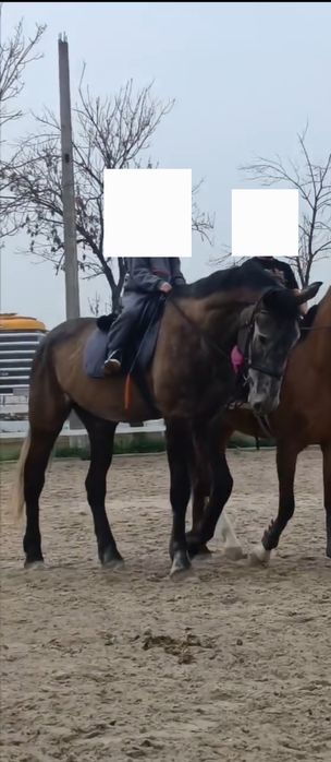 Sport Oti Spartivniy Ot