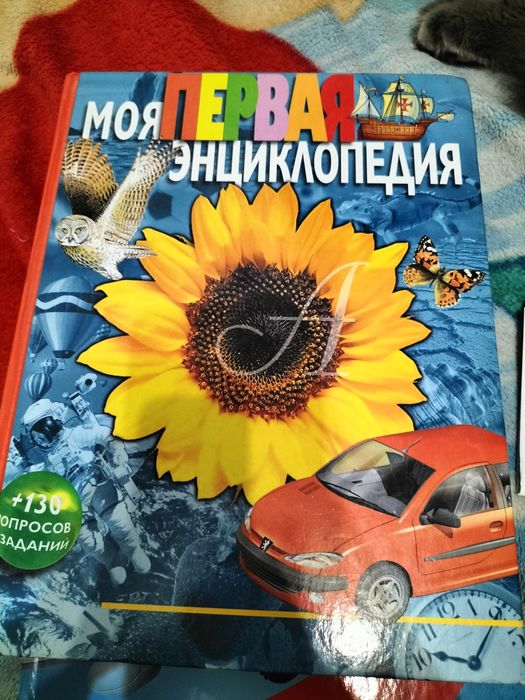 энциклопедия и букварь