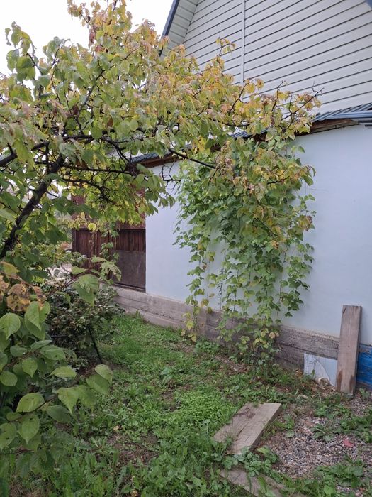 Продам дачу ,в живописном районе нашего города