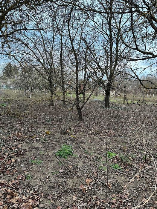 Продава се Парцел в Добрич, м-т Газибаба - 766 кв.м за 24 €/кв.м - Снимка #2