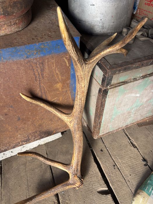 Светильник империя